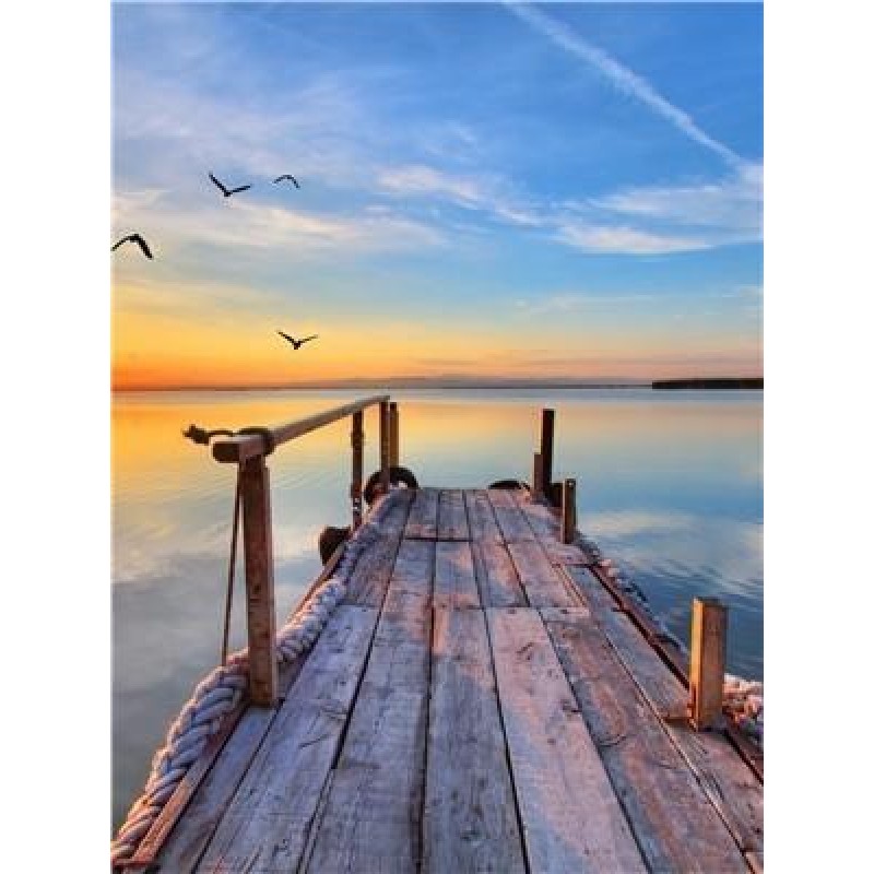 The Coastline | 5D D...