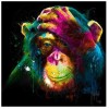 Colour Monkey | 5D Diamond Painting | Square Diamond
