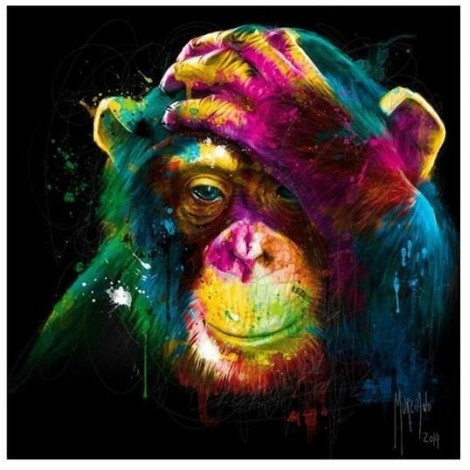 Colour Monkey | 5D Diamond Painting | Square Diamond