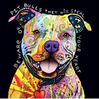 Bulls | 5D Diamond Painti...