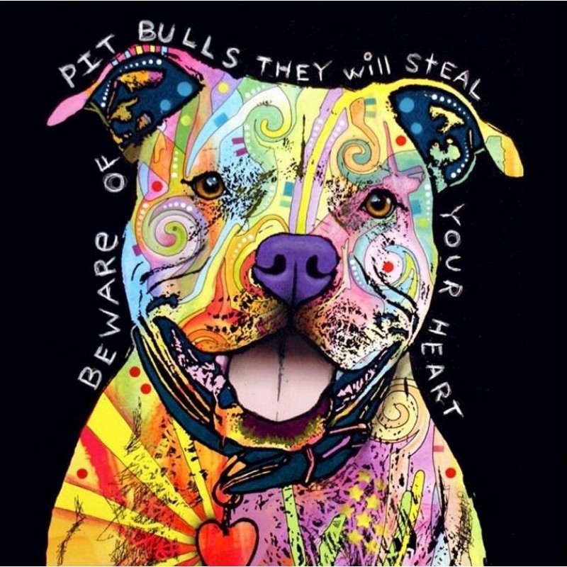 Bulls | 5D Diamond P...