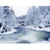 Winter Scenery | Landscape | 5D Diamond Painting | Square Diamond