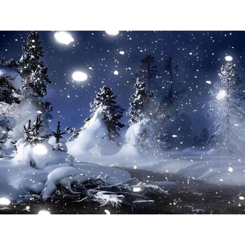 Winter Scenery | Lan...