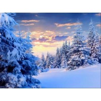 Winter Scenery | Landscap...