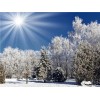 Winter | 5D Diamond Painting | Square Diamond
