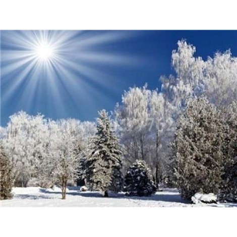 Winter | 5D Diamond Painting | Square Diamond