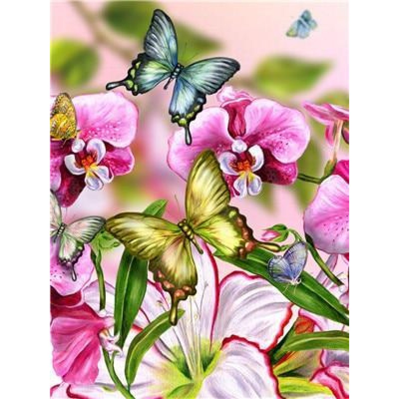 Butterflies & Fl...