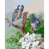 Birds | 5D Diamond Painting | Square Diamond