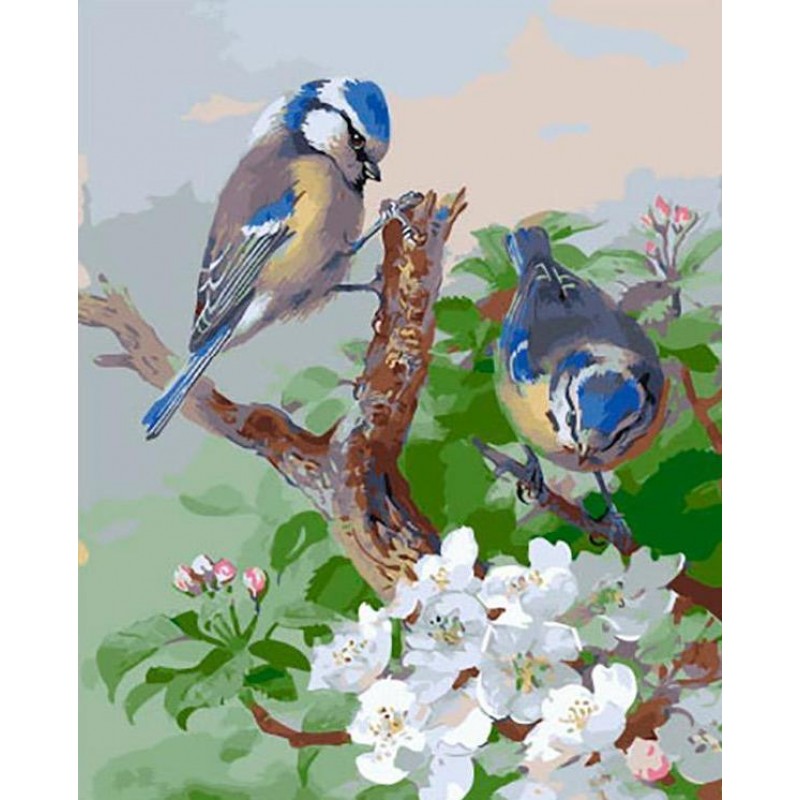 Birds | 5D Diamond P...