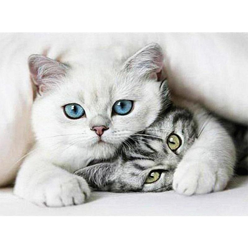 Cats | 5D Diamond Pa...