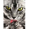 Cat | 5D Diamond Painting | Square/Round Diamond