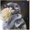 Cat & Flower | 5D Diamond Painting | Square Diamond