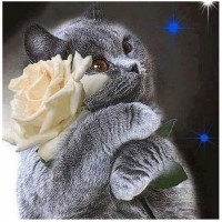 Cat & Flower | 5D Dia...