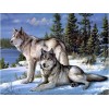 Wolves | 5D Diamond Painting | Square Diamond