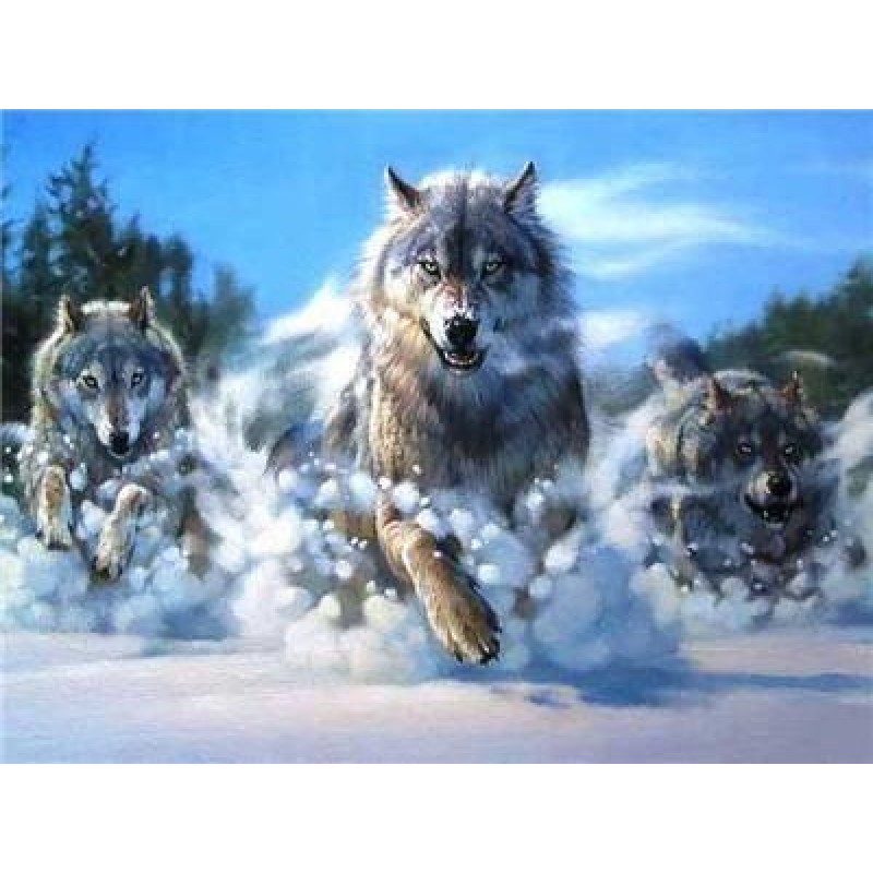 Wolves | 5D Diamond ...