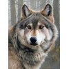 Wolf | 5D Diamond Painting | Square Diamond