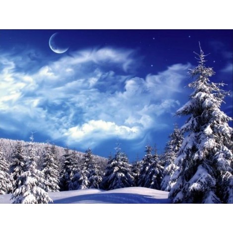Winter Scenery | Landscape | 5D Diamond Painting | Square Diamond