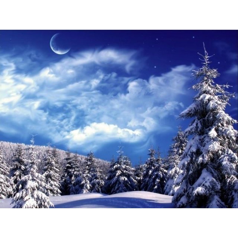 Winter Scenery | Lan...