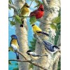 Birds | 5D Diamond Painting | Round Diamond