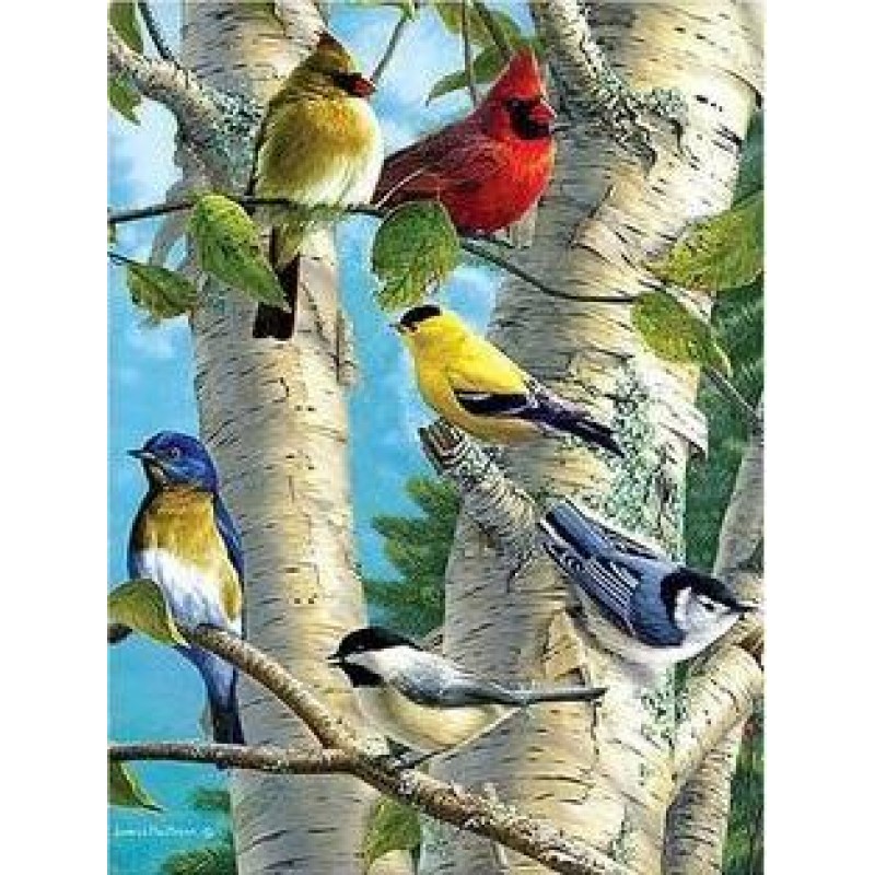 Birds | 5D Diamond P...
