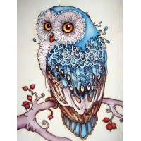 Berry Branch Owls