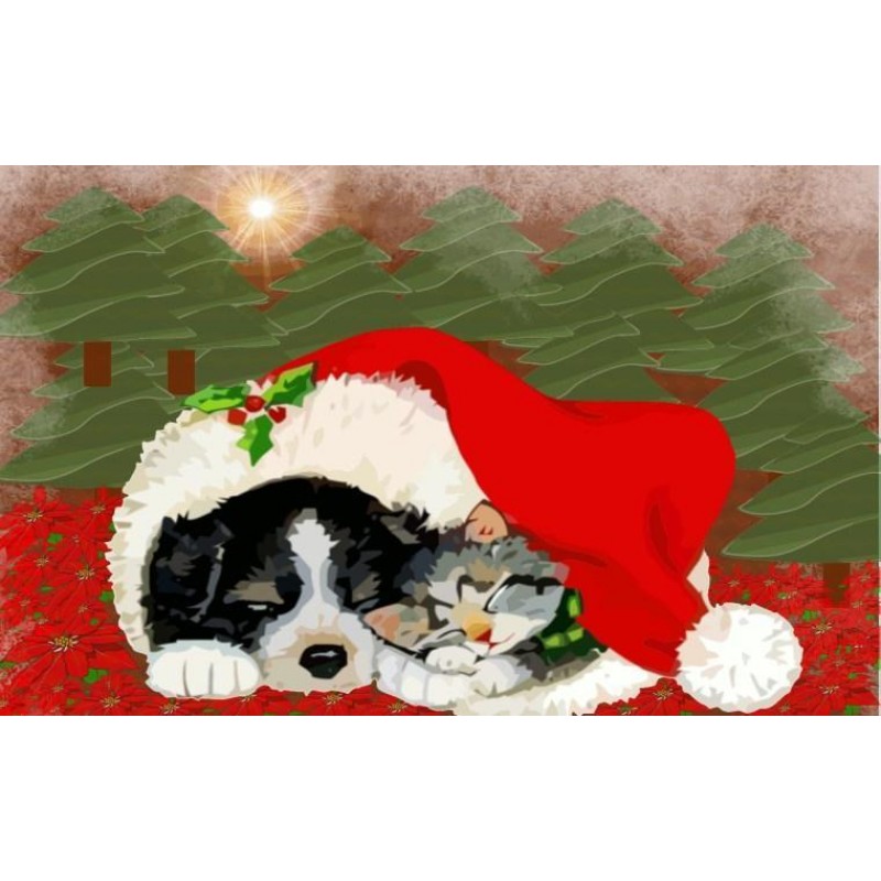 Christmas Diamond Pa...