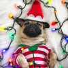 Christmas Diamond Painting Kit 5D Season 2-33