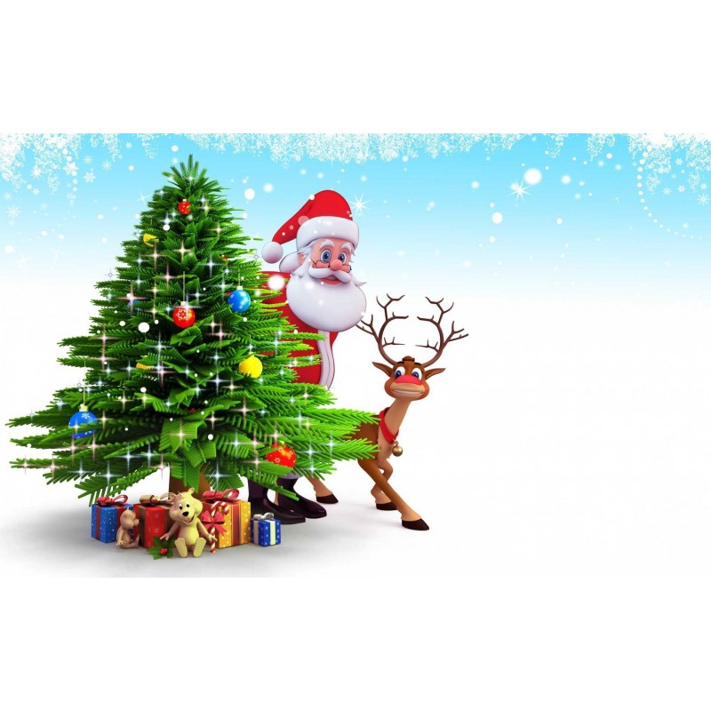Christmas Diamond Pa...