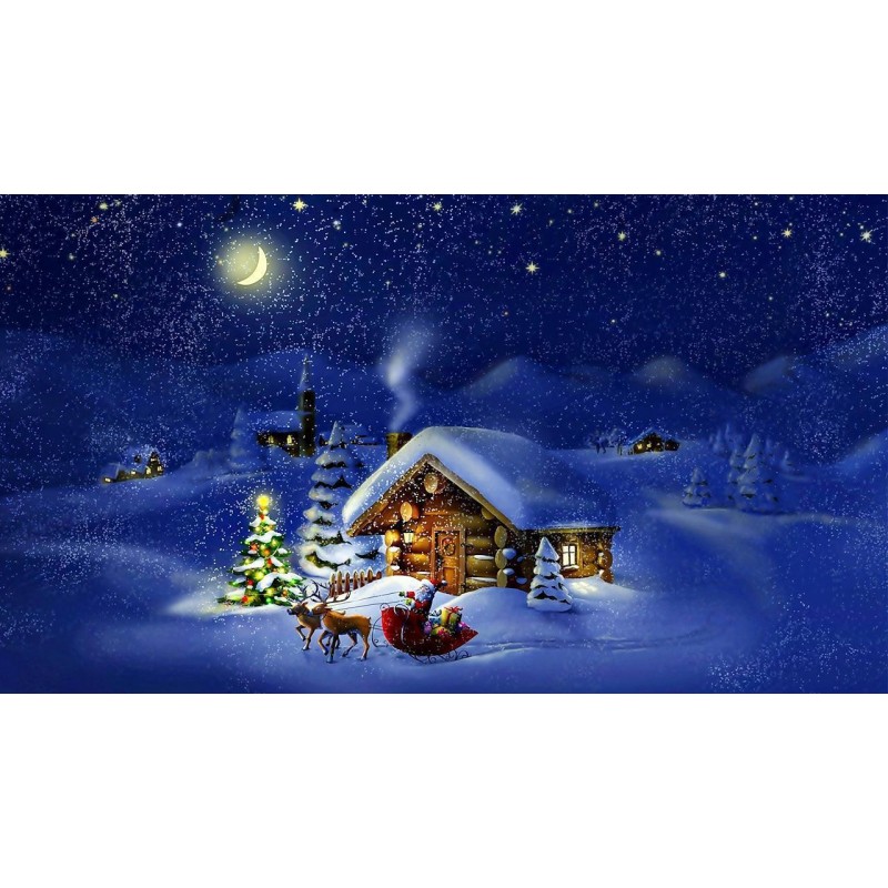 Christmas Diamond Pa...