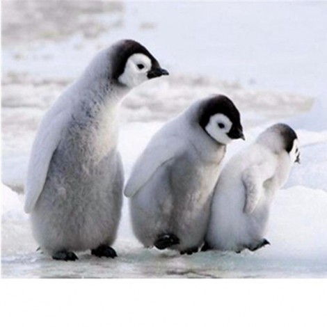 Three Lovely Penguins Diamond Painting Kit
