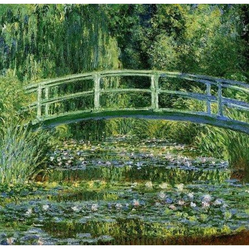 Water Lily Pond Diam...