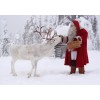 Christmas Diamond Painting Kit 5D Season 2-96