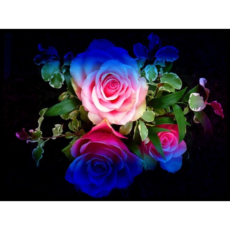 Rainbow Flowers Diamond Painting Kit Rainbow Flowers-10