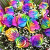 Rainbow Flowers Diamond Painting Kit Rainbow Flowers-12