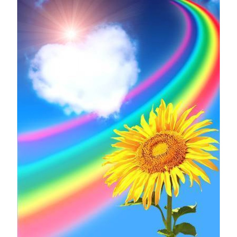 Rainbow Flowers Diam...