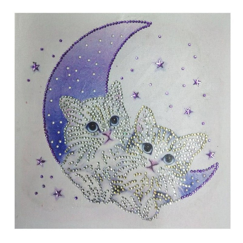 Special Shaped Cats ...
