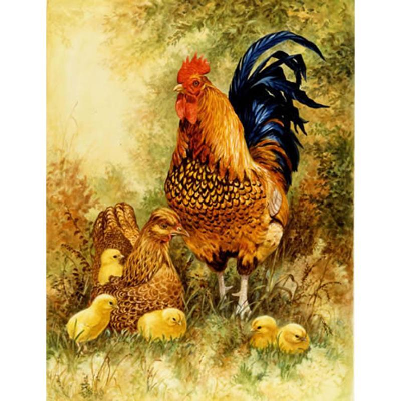 Big rooster and chic...