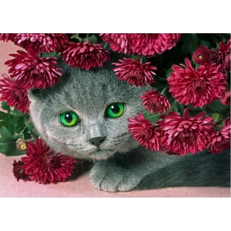 5d Cat Diamond Paint...