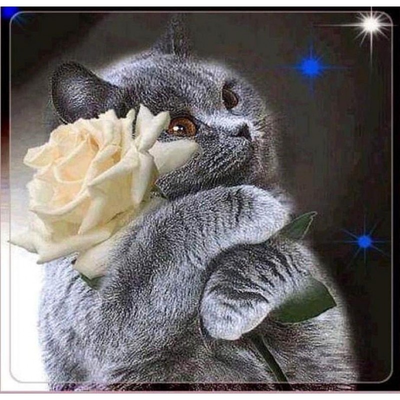 5d Cat Diamond Paint...