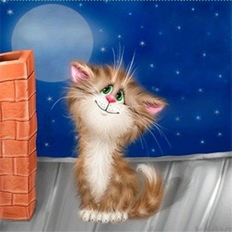 5d Cat Diamond Paint...