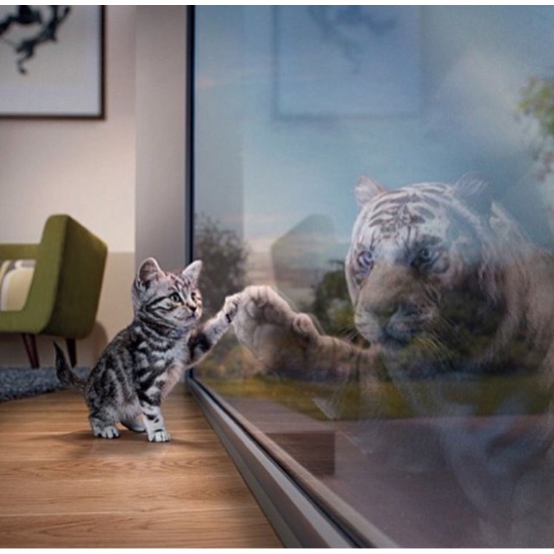 5d Cat Diamond Paint...