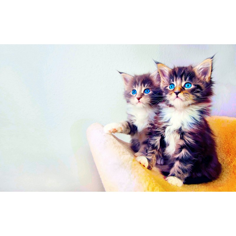 5d Cat Diamond Paint...