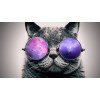 5d Cat Diamond Painting Kit Premium-25
