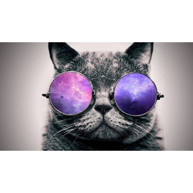 5d Cat Diamond Paint...