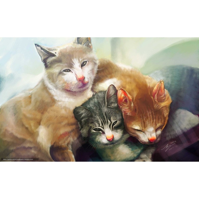 5d Cat Diamond Paint...
