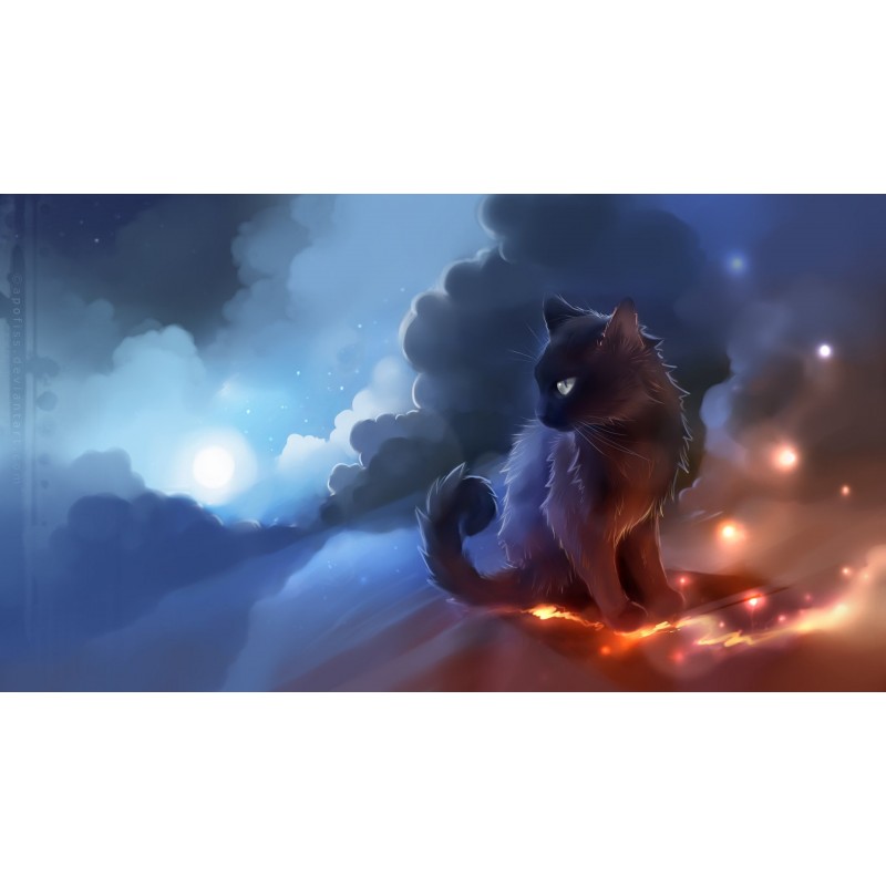 5d Cat Diamond Paint...