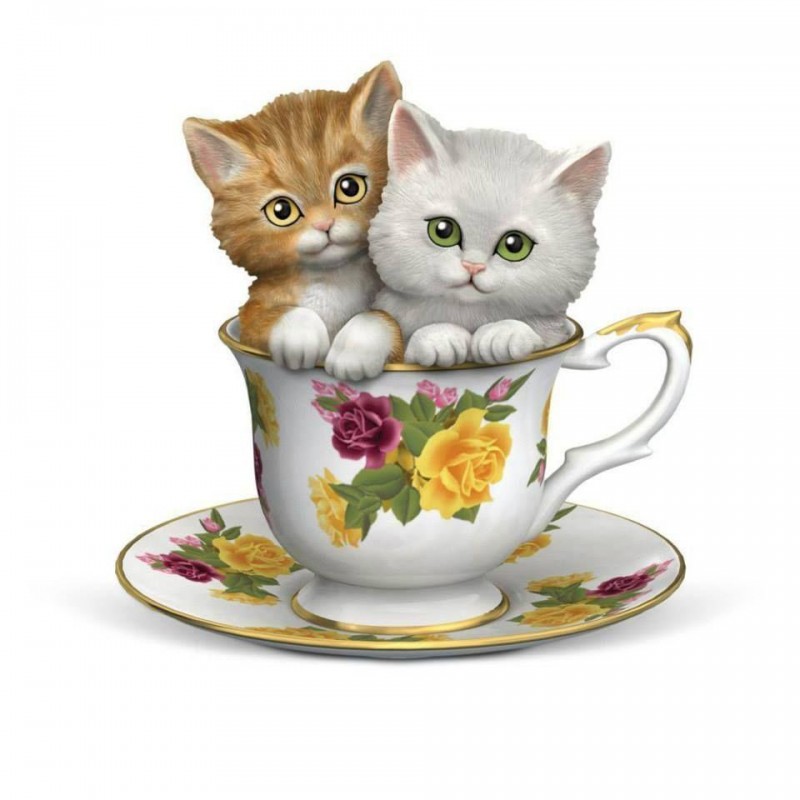 5d Cat Diamond Paint...