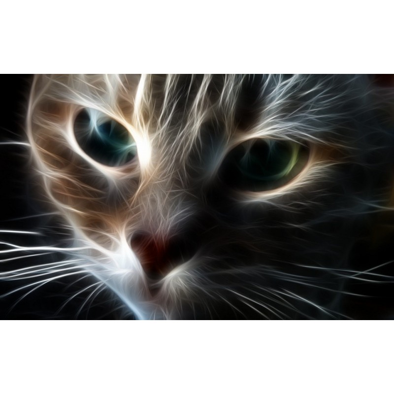 5d Cat Diamond Paint...