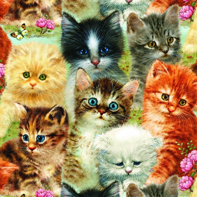 5d Cat Diamond Paint...