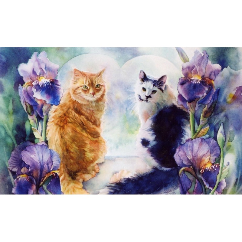 5d Cat Diamond Paint...